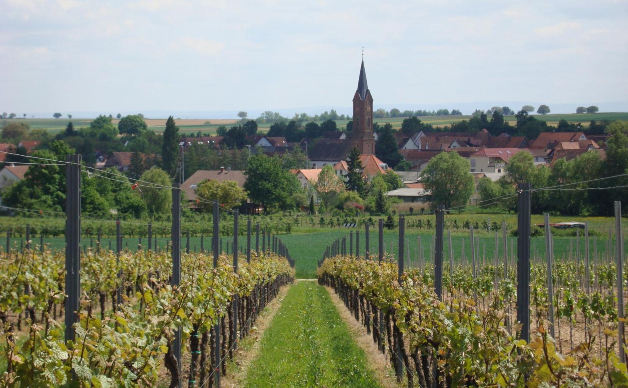 No.31 B&B Im Rosengarten Kapellen-Drusweiler Zewnętrze zdjęcie