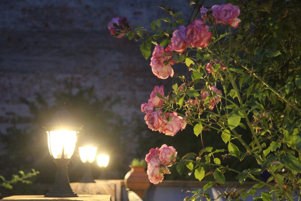 No.31 B&B Im Rosengarten Kapellen-Drusweiler Zewnętrze zdjęcie
